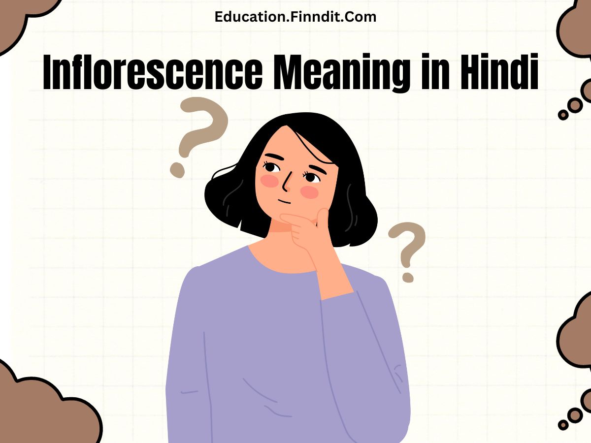 Inflorescence Meaning in Hindi