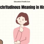 Pulchritudinous Meaning in Hindi