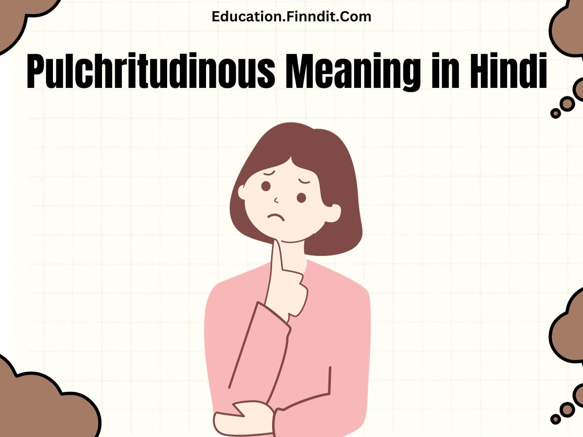 Pulchritudinous Meaning in Hindi