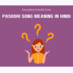 Pasoori Song Meaning In Hindi