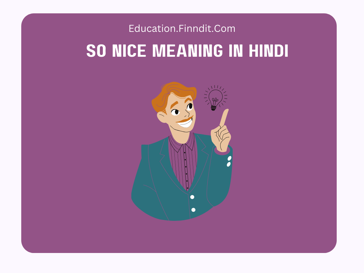 So Nice Meaning In Hindi