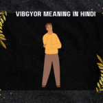 Vibgyor Meaning In Hindi